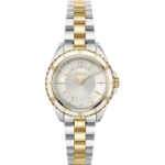 Two-tone watch with epoxy-filled bezel